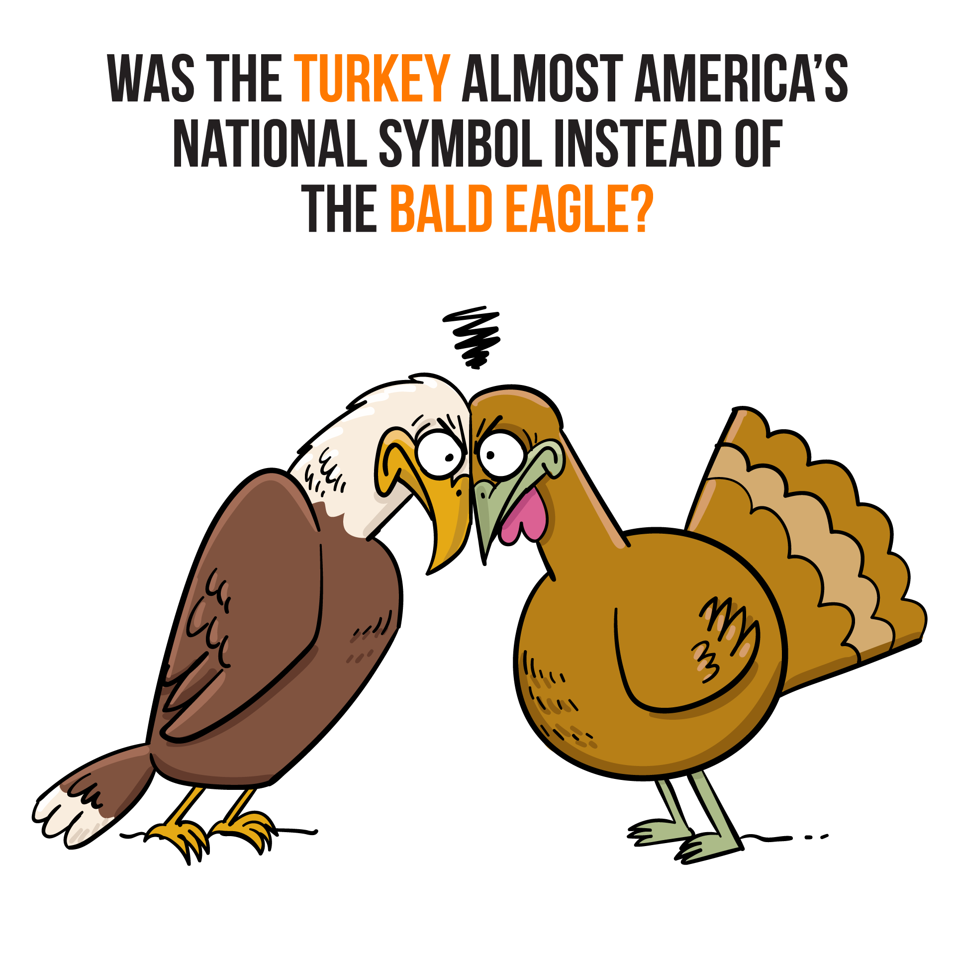 The Turkey Was Almost America's National Symbol Instead of the Bald Eagle 