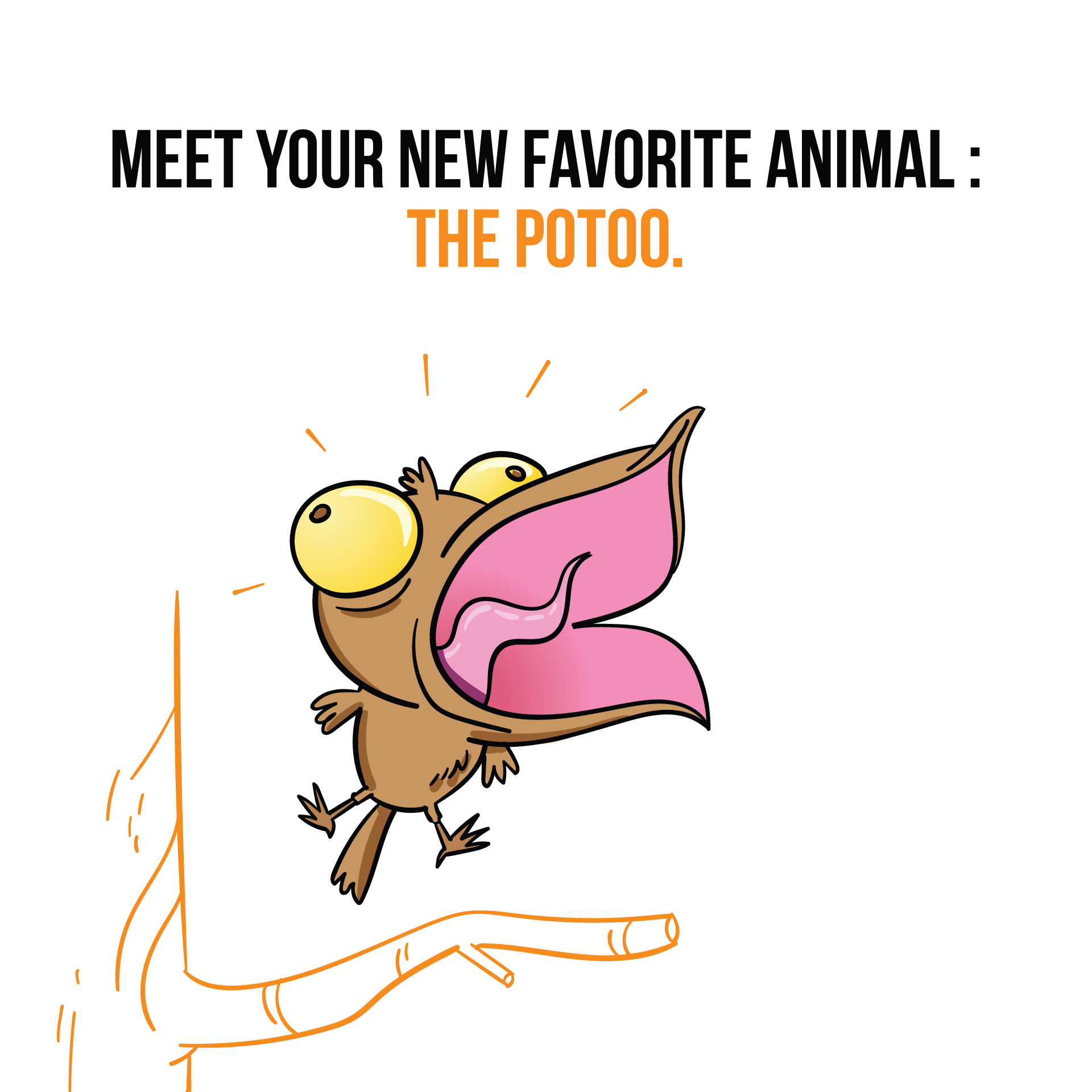 Your New Favorite Animal: The Potoo 