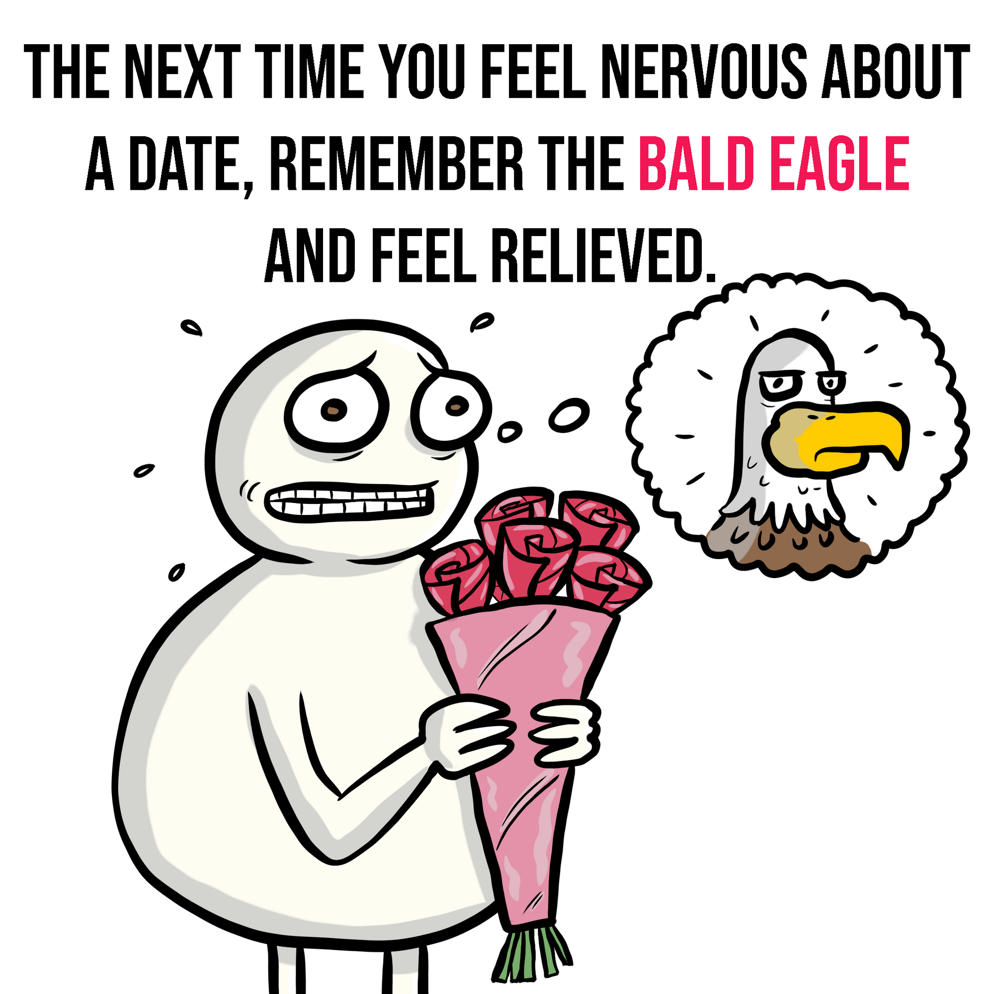 The Mating Rituals of Bald Eagles 