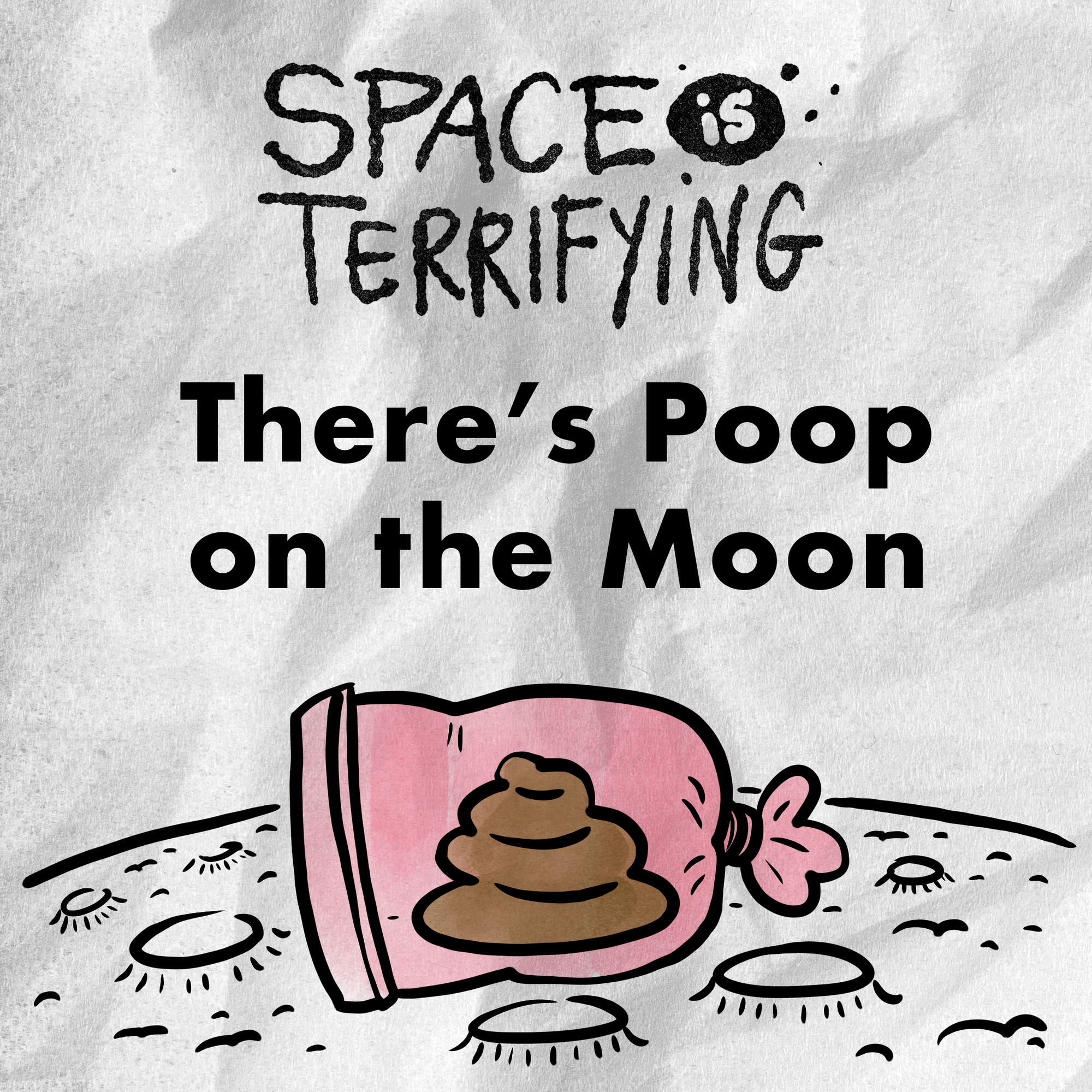 There's Poop On The Moon 