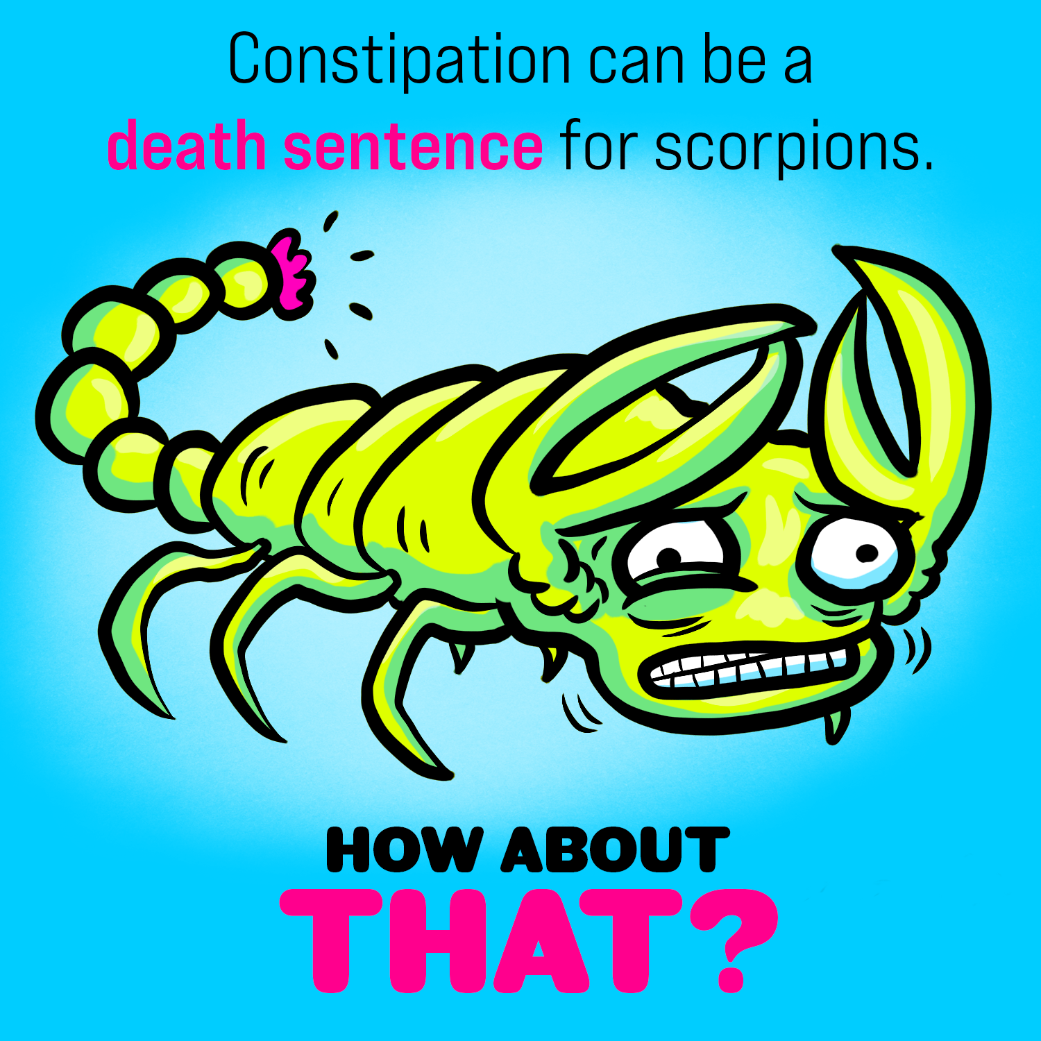 Scorpion Tails. How About That? 