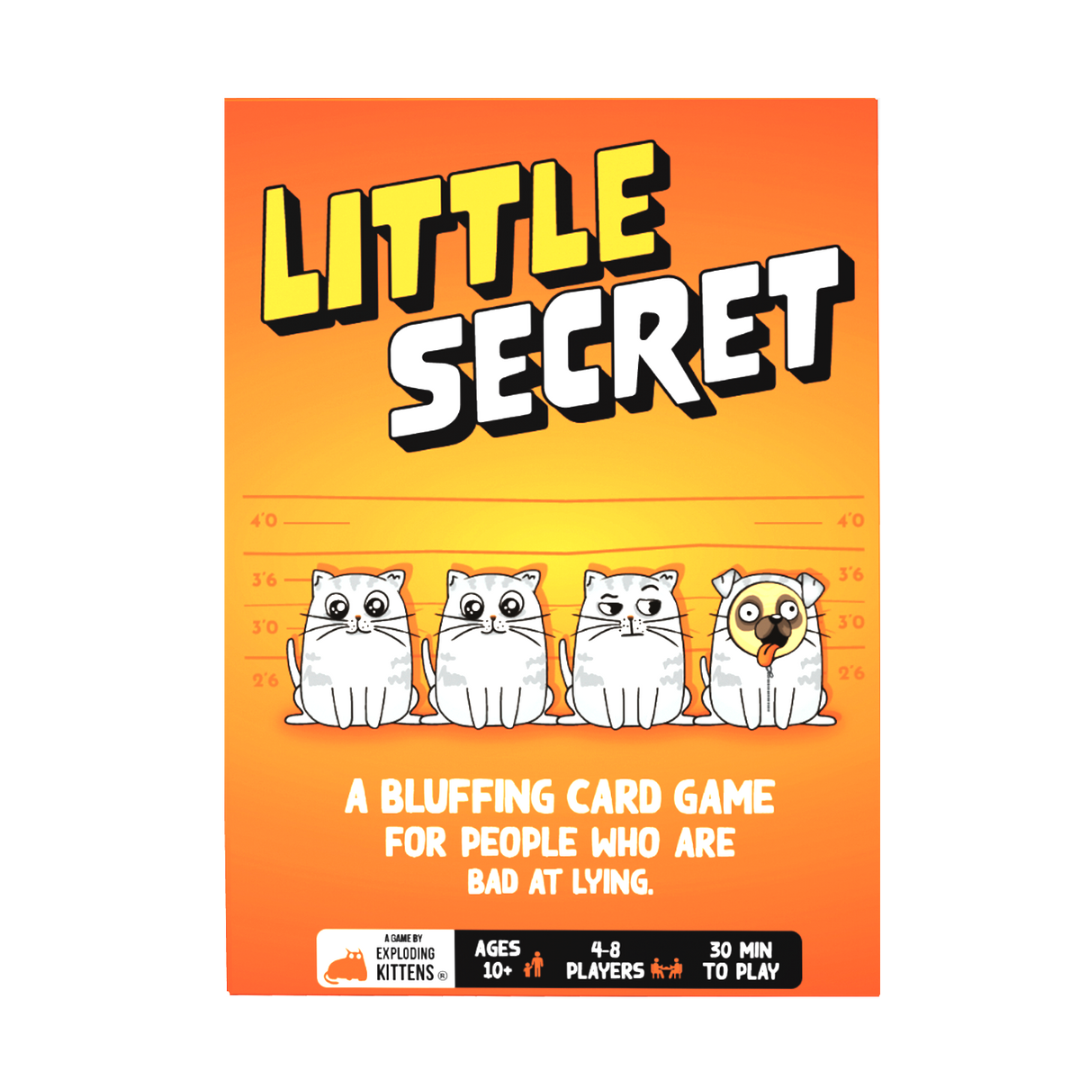 Little Secret