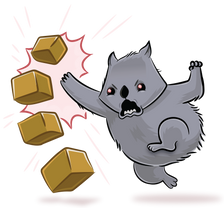 Hand To Hand Wombat